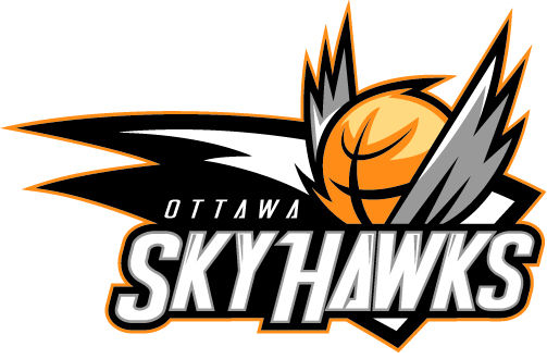 Ottawa SkyHawks 2014-Pres Primary Logo iron on heat transfer